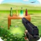 Do you love playing bottle shooting games with gun and got all what it takes to be a real bottle shoot master
