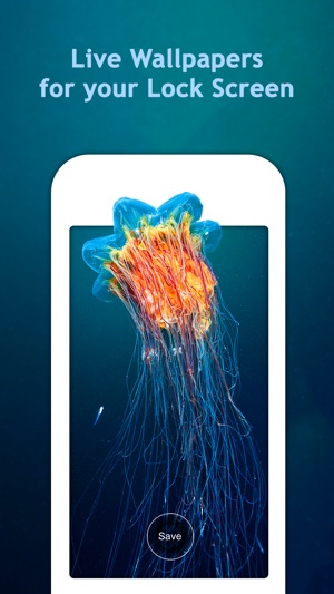 Aquarium Live HD Wallpapers for Lock Screen on the App Store