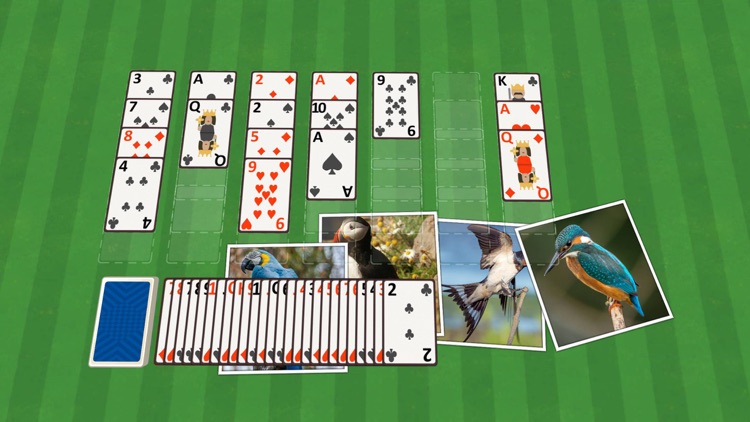 Golf Solitaire Birds screenshot-4