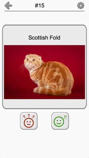 Cats Quiz - Guess Photos of All Popular Cat Breeds(圖5)-速報App