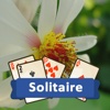 Solitaire Plants