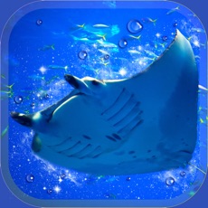 Activities of Aquarium Manta Simulation Game