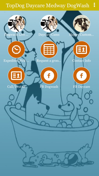 TopDog Daycare Medway DogWash