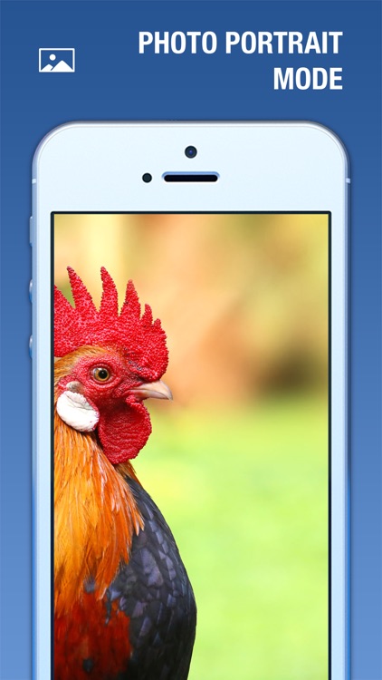 Relaxing Sounds - Improve sleep, relax, meditate screenshot-4