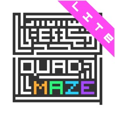 Activities of Quad Maze Lite