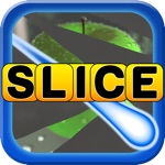 Picture Slice - Fun new guess the word game