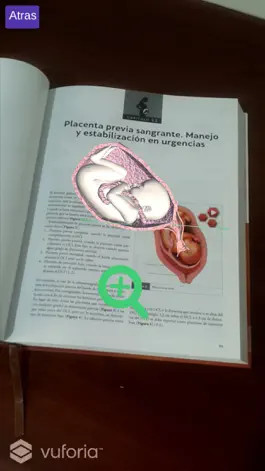 Game screenshot Urgencias en Obstetricia y Medicina Maternofetal apk