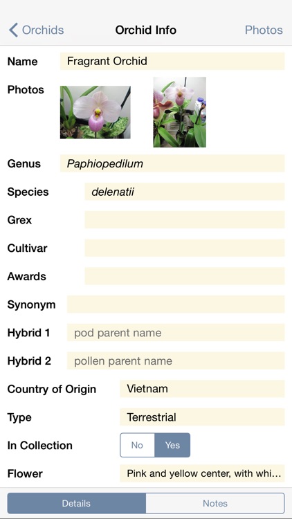 Orchid Album