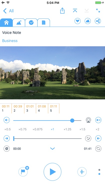Voice Notes PRO - Voice Memos