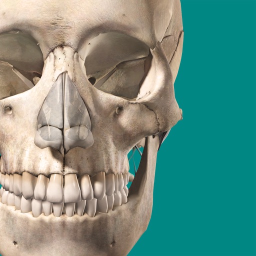 Skeleton Anatomy Atlas: Essential Reference Icon