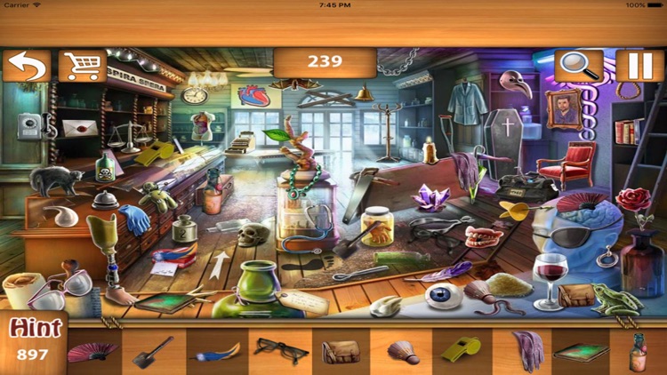 Free Hidden Objects : Two Words screenshot-4