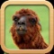 Funny Animals Catalog and Animal Soundboard is a two in one app