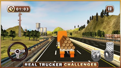 Sawmill Truck Driver Simulator - Lorry Driving Sim 1.0 IOS -