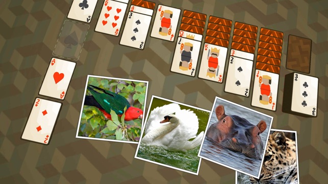 Solitaire Wild(圖3)-速報App