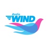 Radio Wind