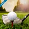 Icon Golf Game Masters - Multiplayer 18 Holes Tour