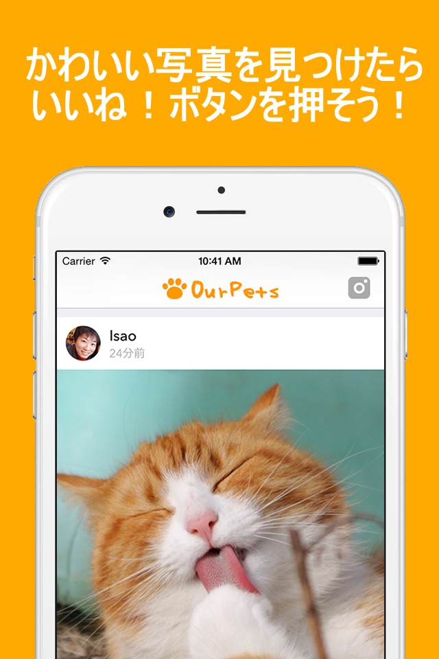 OurPets - Dogs and Cats and Pets Photo Album App screenshot 2