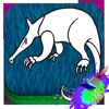 Draw Book Anteater For Kids