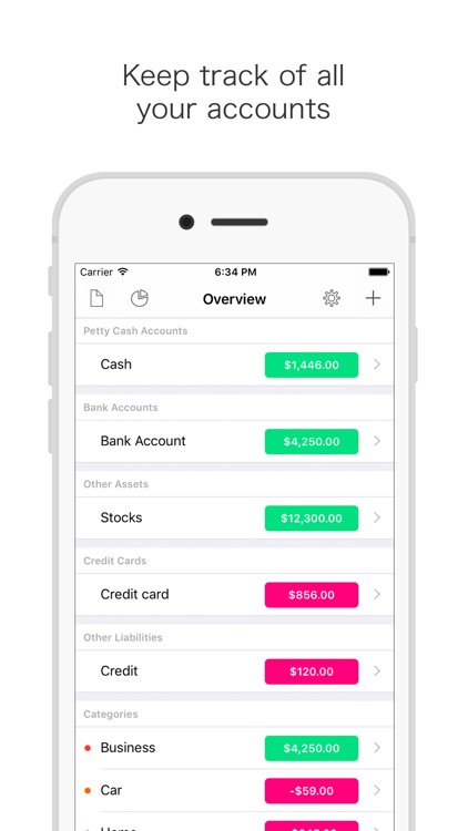 Cashbook: Budgeting report and accounting control