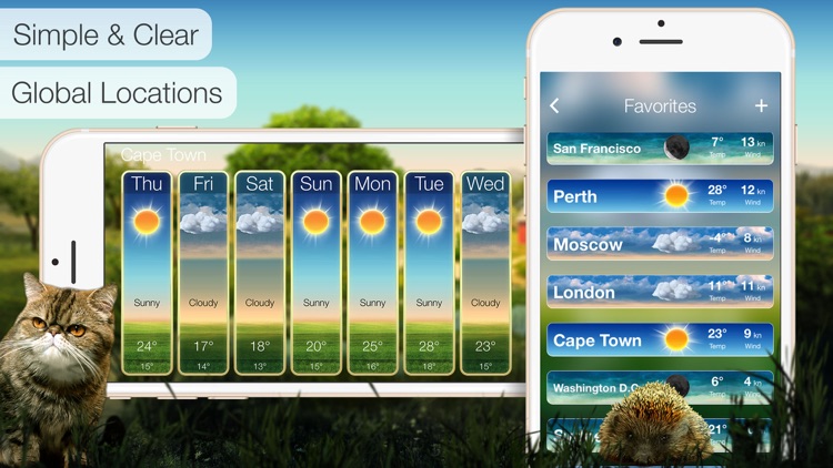 Beautiful Weather: Accurate Forecasts & Alerts