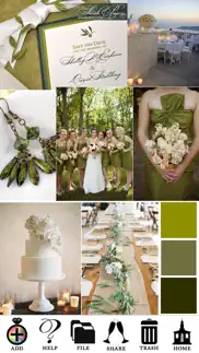 wedding colors iphone screenshot 2