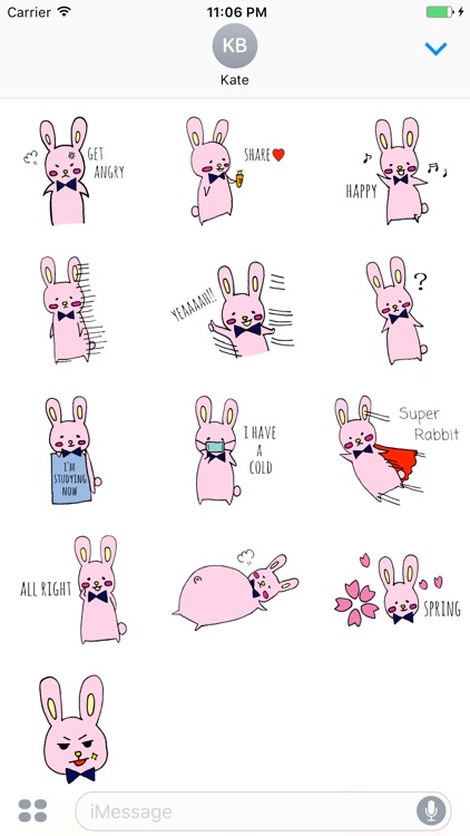 Kari The Pink Bunny English Sticker