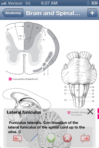 Anatomy Atlas screenshot 3