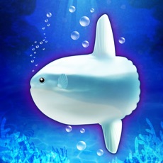 Activities of Aquarium Sunfish simulation game