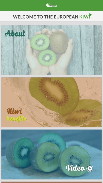 Premium European Kiwi