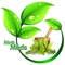 This cool apps bundle gives you the best info of many traditional Medicinal Plants,Herbs,Drugs & Natural home remedies