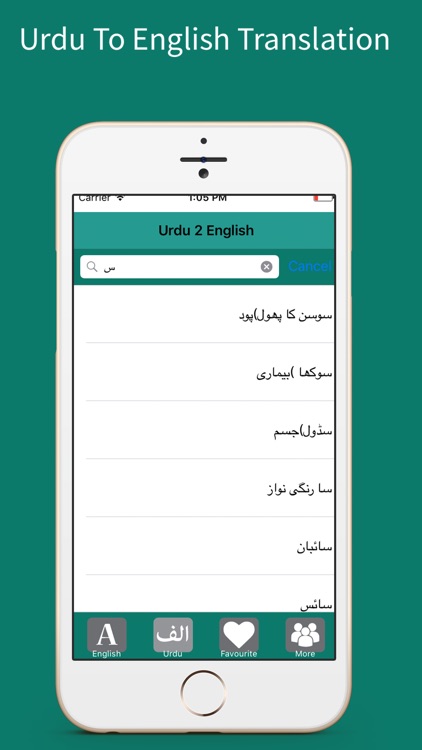 English to Urdu Dictionary - Urdu to English screenshot-3