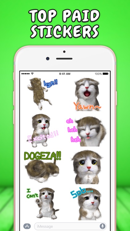 Real Cat Stickers screenshot-4