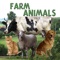 Farm animals...