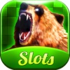 Bear Slots Casino Machines Jackpots Games HD