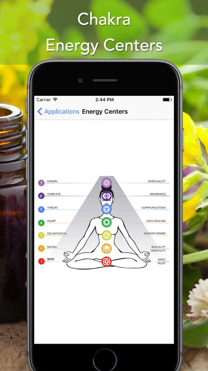 Essential Oils Reference Guide for Young Living screenshot-4