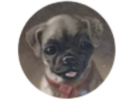 Make the Day Sweeter than every with Vintage Puppy Dog Stickers for iMessage