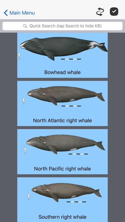Dolphins and Whales World Sightings Guide