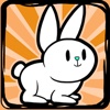 Sensational Rabbit Match Games