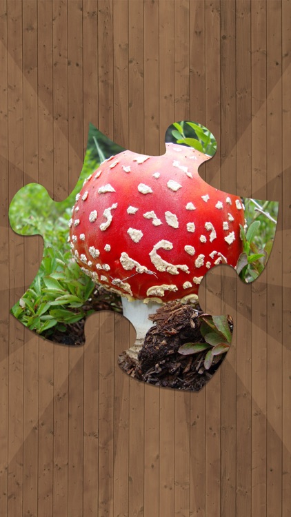 Jigsaw Puzzles - Logical Game for Kids and Adults