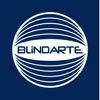 BLINDARTE