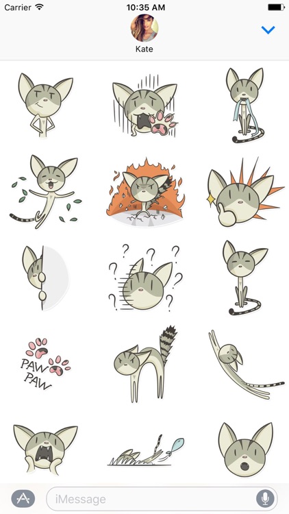 Skinny Cat Stickers