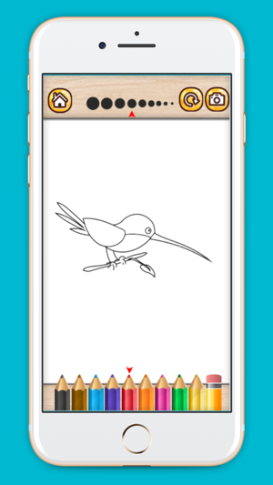 Bird coloring book drawing painting games for kids(圖4)-速報App