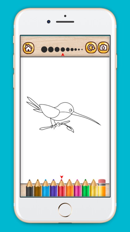 Bird coloring book drawing painting games for kids screenshot-3