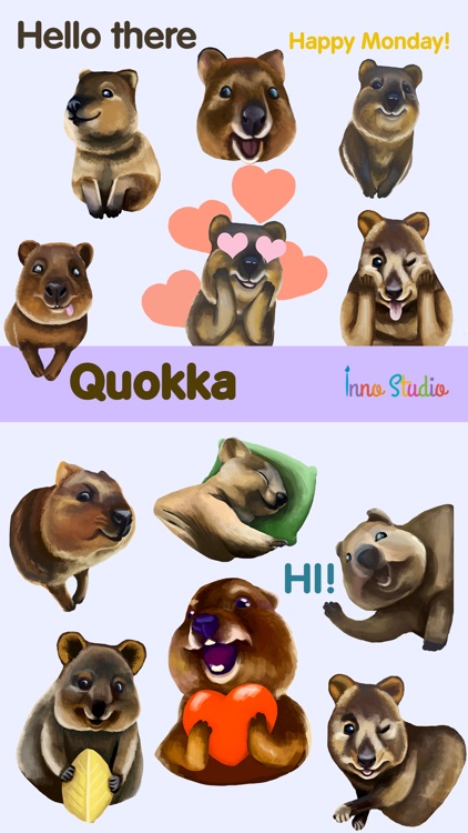 Quokka - The Happiest Animal in the World