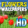 Flowers Wallpapers HD