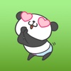 So Cute Panda