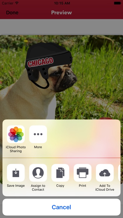 Chicago Hockey Stickers & Emojis screenshot-4