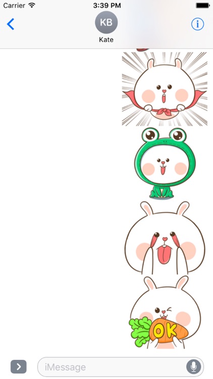 Fluffy Rabbit Love