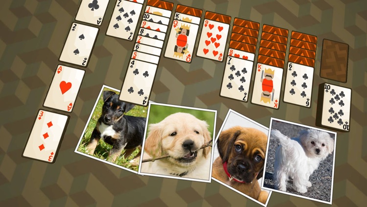 Solitaire Puppies