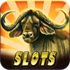 Slot - Lucky Bison Slots Casino